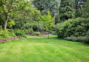 Optimiser l'expérience du jardin à Lozinghem